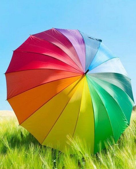 Rainbow umbrella Kristina Webb, Colorful Umbrellas, Umbrella Art, Under My Umbrella, Rainbow Bright, Umbrellas Parasols, Taste The Rainbow, Love Rainbow, Color Spectrum