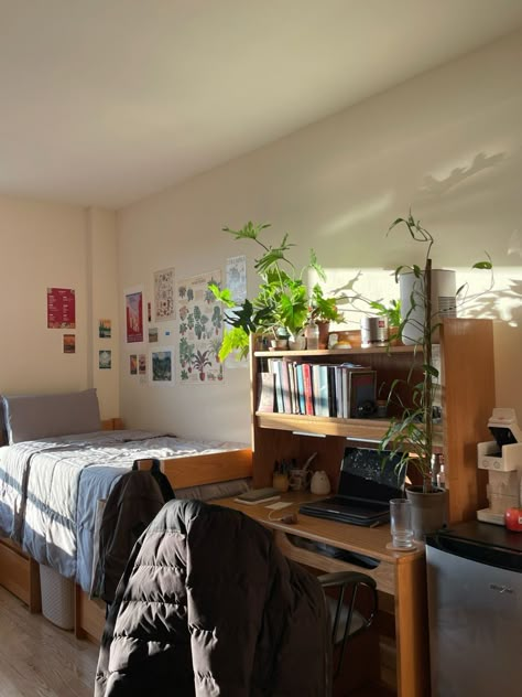 college dorm  room inspiration college dorm  room ideas for guys college dorm  room ideas aesthetic college dorm  room ideas college dorm college dorm  room decor college dorm  checklist College Aesthetic Dorm Room Male, Mid Century Dorm Room, Dorm Room Ideas Two Beds, Dorm With Plants, College Room Ideas For Guys, Men’s Dorm Room, Plants In Dorm, Chill Dorm Room, Dorm Room Inspo Minimalist