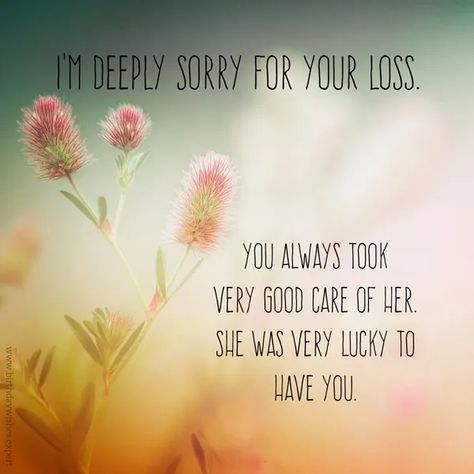 Sympathy Messages for the Loss of a Mother | I'm Sorry She's Gone Losing A Mother, Condolences Messages For Loss, Sympathy Messages For Loss, The Loss Of A Mother, Loss Of A Mother, Losing Your Mother, Friendship Day Images, Words Of Sympathy, Sympathy Card Messages