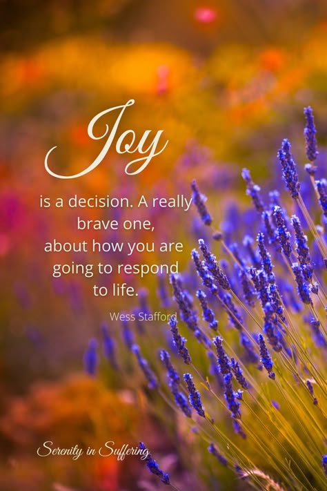 Need more JOY in your life, find great ways to encounter joy today! #serenityinsuffering #serenity #joyinspiration #joy #joyful #joyfulness #rejoice You Are The Joy Of My Life, Joy In My Heart Quotes, Find Joy Quotes, Finding Joy Quotes Inspirational, Joy Scripture Quotes, Joy Sayings, Finding Joy Quotes, Quotes On Joy, Quotes About Joy