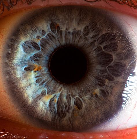 17 Beautiful Macro Photos Of The Human Eye Macro Photography Eyes, Eye References, Macro Fotografia, Foto Macro, Eye Close Up, Microscopic Images, Behind Blue Eyes, Eye Eye, Extreme Close Up