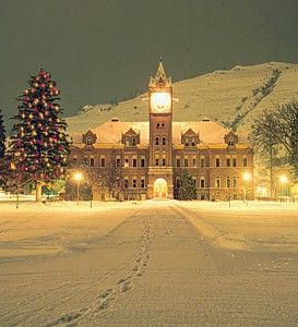 University of Montana Events - The University Of Montana University Of Montana Grizzlies, Grizzlies Football, Montana Grizzlies Football, Montana Grizzlies, College Lifestyle, University Of Montana, College Motivation, College List, Missoula Montana