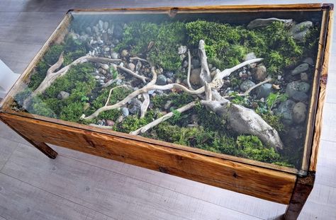 Diy Plant Coffee Table, Terrarium Coffee Table, Terrarium Table, Seni Resin, Moss Decor, Rustic Wooden Table, Display Coffee Table, Moss Garden, Plant Table