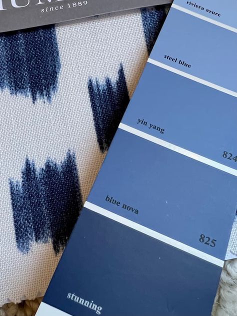 Paint Colors Of The Year, Blue Kitchen Inspiration, Bright Blue Paint, Cobalt Blue Paint, Kitchen Open Concept, Benjamin Moore Blue, Blue Painted Walls, Blue Wall Colors, Paint Trends