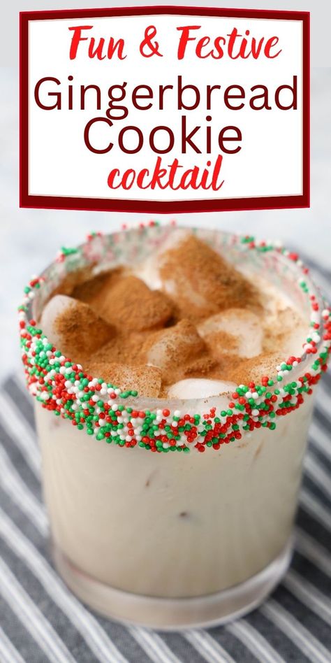 Fun Christmas Cocktails, Baileys Recipes Drinks, Fun Holiday Cocktails, Easy Gingerbread Cookies, Christmas Drinks Alcohol Recipes, Christmas Party Drinks, Gingerbread Syrup, Easy Gingerbread, Baileys Recipes