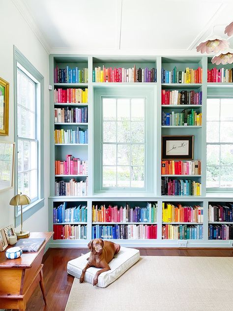 Funky Lighting, Stray Dog Designs, Cute Dog Beds, Pink Sofa, Blue Paint Colors, Botanical Wallpaper, Painting Trim, Living Room Grey, Home Library