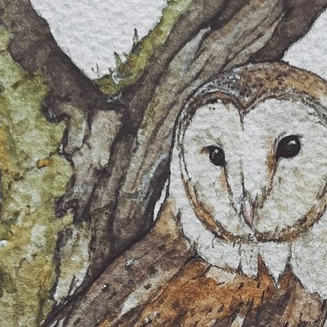 Jane Carkill Illustration on Instagram: "Barn Owl study 🌾 . . . . . . . . . .#cottagecore #instadaily #wildlife #rabbit #instaart #instaillustration #barnowl #painting  #art #nature #watercolourpaint #painting #cottagechic #illustrationartists #cottagestyle #spring #owls #cottagecorecommunity #fairycore #watercolours #newmonth #cottagecoreart #watercolor #beatrixpotter #childrensillustration #cottagecoreart #art #illustrationartists #fairycore #cuteart #owl" Barn Owl Illustration, Owl Study, Barn Owl Drawing, Cottage Core Art, Owl Illustration, Owls Drawing, Barn Owl, Beatrix Potter, Art Nature