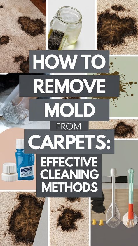 How to Remove Mold from Carpets: Effective Cleaning Methods - 101CleaningTips.net Mold In Crawl Space, Smelly Fridge, How To Remove Mold, Cat Urine Smells, Carpet Smell, Remove Mold, Mold Exposure, Cleaning Methods, Urine Smells