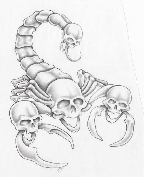 Cool Skull Drawings, Scorpio Art, Cool Tattoo Drawings, Skull Coloring Pages, Skull Art Drawing, Scorpion Tattoo, Creepy Tattoos, Skulls Drawing, Sketch Tattoo Design