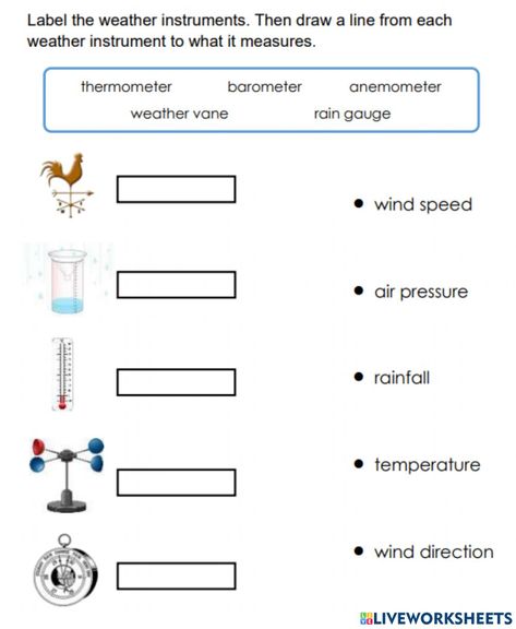 Air Pressure Worksheet, Weather Instruments Worksheet, Strawberry Project, 4th Grade Activities, Weather Worksheets, Worksheets For Grade 3, Anemometer, Rain Gauge, Kindergarden Activities