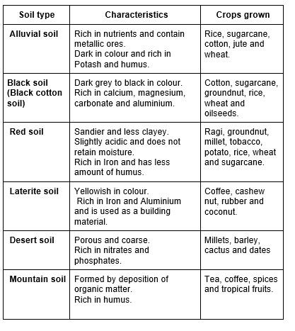 Soil is an important natural resource. Plants need soil to grow. Microscopic organisms such as bacteria, fungi, microscopic algae and protozoa live in the soil. Soil beetles, soil mites, earthworms, nematodes, millipedes, centipedes, ants and termites also live in the soil. Types Of Soil Chart, Fungi Microscopic, Soil Mites, Earth's Atmosphere Layers, Soil Classification, Microscopic Algae, Microbiology Study, Soil Science, Basic Geography