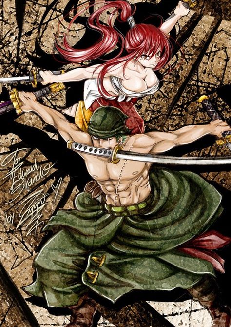 Erza and Zoro One Piece Crossover, One Piece Fairy Tail, Zoro And Robin, Fairy Tail Erza Scarlet, Rave Master, Fairy Tail Family, All Anime Characters, Anime Group, Good Anime To Watch