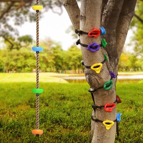 PRICES MAY VARY. 【CLIMBING HOLDS + ROPE SWING SET】- This tree climbing kit includes 12 x Tree Climbing Holds, 6 Ratchet Straps, 1x 6.56FT Rope Swing, 1 Hanging Strap and 1 Instruction 【SMALL HOLDS, LARGE WEIGHT CAPACITY】 - The tree climbing holds weigh up to 230lbs, and are strong enough to support kid or grown-up. Textured, they provide a secure grip/footing as real rock to cut down any chance of slipping off 【MULTI-USE ROPE SWING FOR TREE】 - Miss kid’s happy face? Don’t miss our swing! The nin Obstacle Course Training, Kids Tree, Climbing Holds, Tree Climbing, Ratchet Straps, Tree Swing, Climbing Rope, Ninja Warrior, Obstacle Course