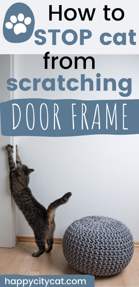 Stop Cats From Scratching Furniture, Cat Scratching Door Frame, Wood Cat Scratcher, Door Frame Cat Scratcher, Cat Door Ideas, Cat Scratcher Diy, Cat Deterrent Spray, Diy Cat Scratcher, Cat Deterrent