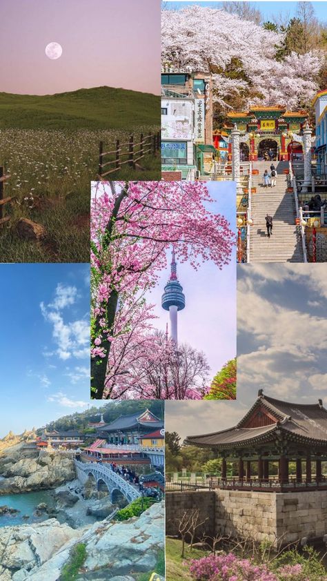 South Korea aesthetic , Seoul, Juju island, Incheon City, Busan, Gyeongju-si Korea Aesthetic Seoul, Korea Aesthetic Wallpaper, South Korea Aesthetic, Aesthetic Seoul, Korea Photography, South Korea Photography, Korea Aesthetic, Korea Wallpaper, Busan South Korea