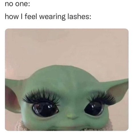 ✨very demure, very mindful✨ #eyelashextensions #beautymemes #lashes #itgirl #lifehacks #magneticeyelashes High Jokes, Food And Recipes, Funny Profile, Serious Relationship, Very Funny Pictures, Funny Profile Pictures, Wholesome Memes, Really Funny Pictures, Fact Quotes