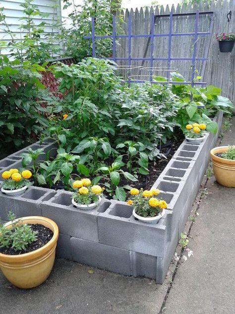 27 Brilliant Ways to Use Cinder Blocks in Your Yard - 212 Cinder Block Garden Bed, Cinder Block Garden, Cinder Blocks, Small Vegetable Gardens, Garden Stairs, Diy Raised Garden, Diy Backyard Landscaping, Veg Garden, Home Vegetable Garden