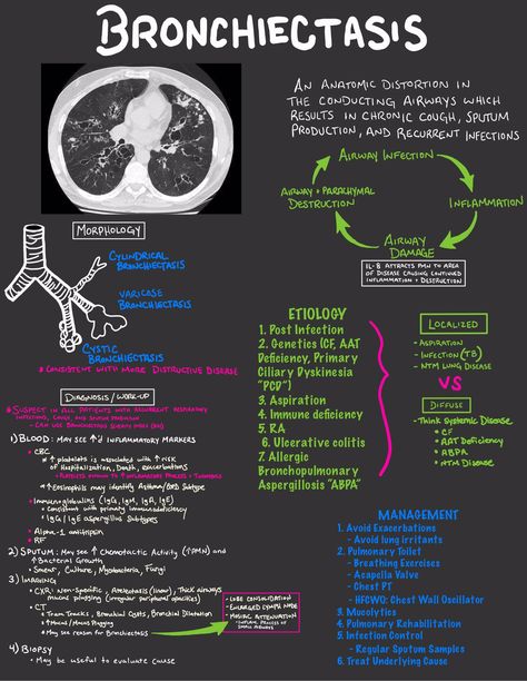 X What Is Intelligence, Medical Radiography, Radiology Student, Radiology Imaging, Airway Management, Medical School Life, Chronic Cough, Basic Anatomy And Physiology, Medical Student Study