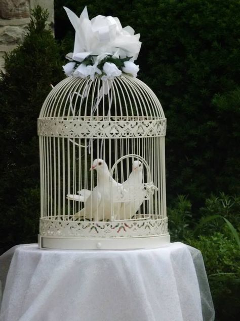 Dove Wedding Theme, Small Classy Wedding, Wedding Theme Decorations, Dove Wedding, Dove Release, Pigeon Cage, Armenian Wedding, Bird In A Cage, Wedding Decisions