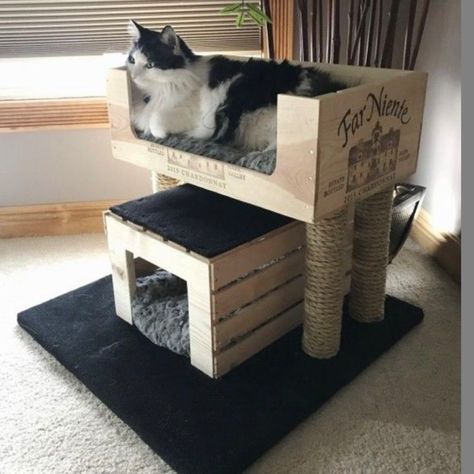 Kitty Condo, Katt Diy, Katt Grejer, Kat Diy, Chat Diy, Diy Cat Tree, Crate Diy, Cat House Diy, Diy Cat Toys