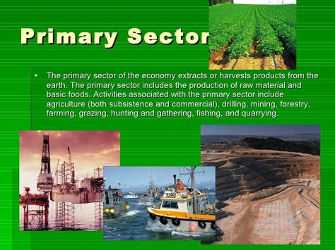 Primary Sector, Combine Pictures, Crop Production, Science Notes, 10th Grade, Economic Activity, Private Company, Human Activity, Developing Country