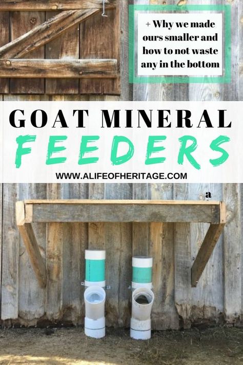 A goat mineral feeder for raising healthy goats. It's easy to make and won't waste expensive minerals. ✓Inexpensive! ✓Easy to make ✓Easy to check and fill. Goat Mineral Feeder, Goats Pygmy, Livestock Pens, Goat Hay Feeder, Goat Ideas, Goat Feeder, Goat Toys, Goat Health, Keeping Goats