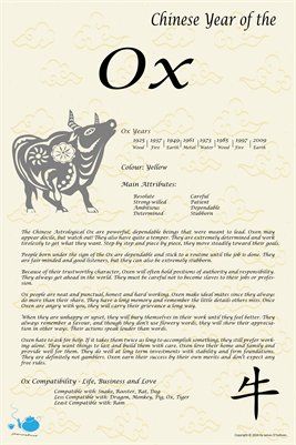 Chinese Zodiac: Chinese Zodiac Year of the Ox, $9.00 from MagCloud Chinese Fortune Teller, Taurus Zodiac Constellation, Ox Tattoo, Ox Chinese Zodiac, Zodiac Chinese, Astrology Meaning, Tiger Poster, Zodiac Years, Bull Tattoos