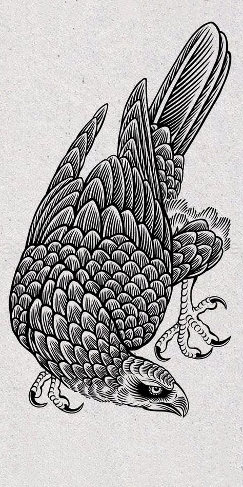 Hawk Illustration Drawings, Woodcut Bird Tattoo, Vintage Eagle Illustration, Woodblock Print Tattoo, Cross Hatch Tattoo, Woodcut Drawing, Tattoo Woodcut, Hawk Illustration, Hawk Drawing