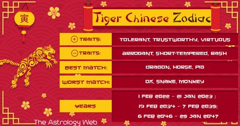 Tiger Meaning, Moon Sign Astrology, Tiger Zodiac, Chinese Zodiac Tiger, Chinese New Year Zodiac, Zodiac Elements, Zodiac Years, Rap Lyrics Quotes, Chinese Astrology