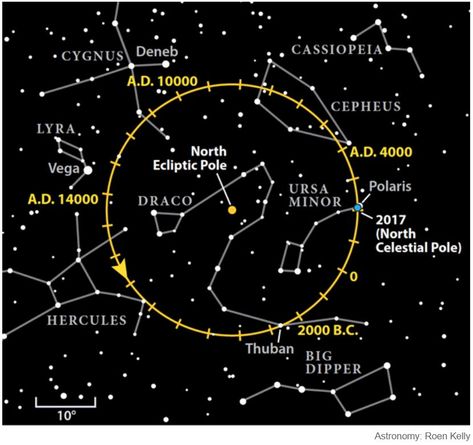 Star chart showing polar star through time, i.e., 25,772 year cycle, moving one degree each 71.6 years (also precession of equinoxes) Compass Navigation, Laws Of Nature, Divination Runes, Polar Star, Sacred Geometry Patterns, Astronomy Constellations, Other Planets, Celestial Sphere, Star Constellation