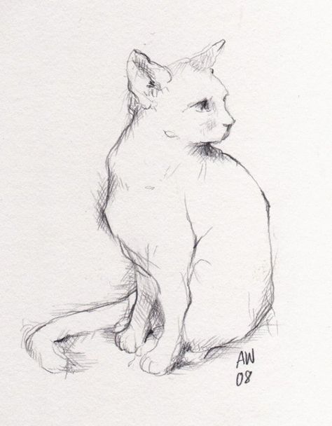 Sitting Cat Sketch, Cat Drawing Sitting, Sitting Cat Drawing, Cat Sitting Drawing, Cat Sitting Down, Huge Cat, Cat Illustrations, Animal Drawings Sketches, Cat Sketch