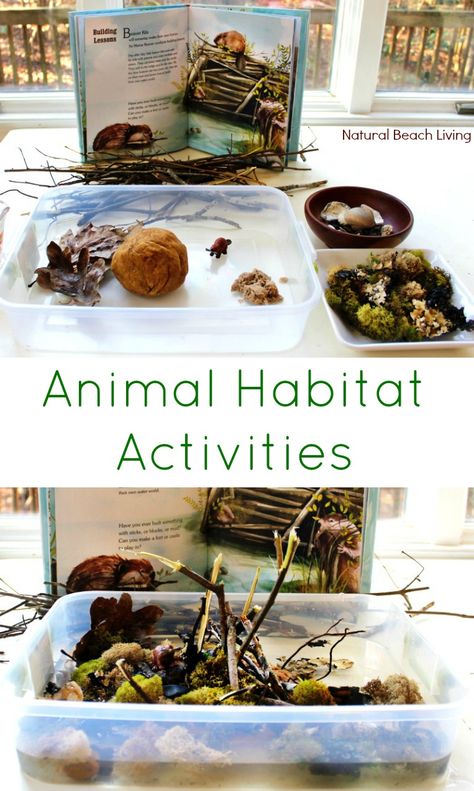 The Perfect Animal Habitat Activities for Preschool, STEM, Building animal habitats, Reggio Emilia Provocations, Sensory bins, Early Childhood Education Reggio Emilia Provocations, Forest Worksheet, Animal Habitat Activities, Habitat Activities, Diarama Ideas, Stem Building, Animal Habitat, Preschool Stem, Nature School