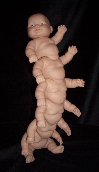 Doll Centipede, The Human Centipede, Weird Images, Funny Profile, 웃긴 사진, Funny Profile Pictures, What’s Going On, Really Funny Pictures, Funny Photos