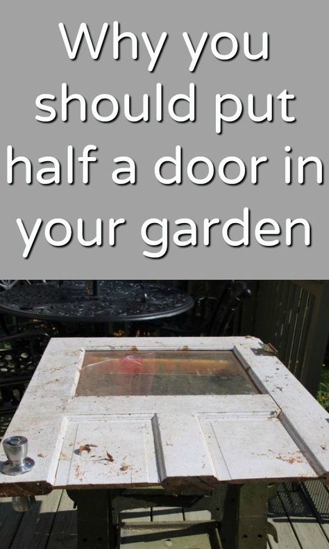 Got an old door lying around? This is super cute Wood Decorating Ideas, Old Door Decor, Old Door Projects, Stenciled Curtains, Diy Privacy Fence, Recycled Door, Wood Yard Art, Old Wooden Doors, Yard And Garden