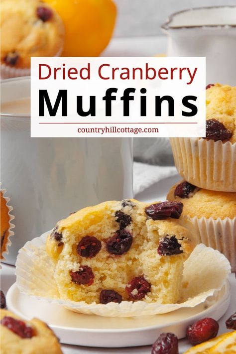 Cranberry Orange Muffins Using Craisins, Lemon Cranberry Muffins With Dried Cranberries, Orange Craisin Muffins, Dried Cranberry Muffins Recipes, Dried Fruit Muffins, Dried Cranberry Muffins, Craisin Muffins, Breakfast Thanksgiving, Dried Cranberries Recipes