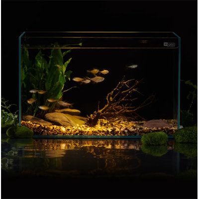 Perfect for home use, this aquarium is suitable for desktops, living rooms, and offices. The back-filter ecological self-circulating super white glass aquarium creates a new landscape in your home, simulating a natural ecological environment. UMMA, LLC Size: 20.80 Gallon (15.74" H x 9.05" W x 9.84" D) | UMMA, LLC 36.70 gallons Rectangle Aquarium Tank Glass (cost efficient & easy to clean) in Clear | 20.80 Gallon (15.74" H x 9.05" W x 9.84" D) | Wayfair Amazing Aquariums, Glass Aquarium, Aquascape Aquarium, Betta Fish Tank, Aquarium Tank, Pet Fish, Super White, Betta Fish, Fish Tank