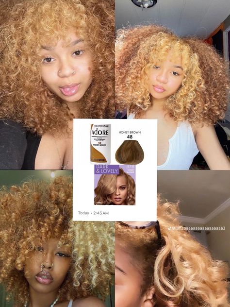 Dye Ginger Hair, Wolf Cut Curtain Bangs, Hair Dye Ginger, Honey Brown Hair Dye, 1c Hair, Hair Graffiti, Afro Hair Dye, Adore Hair Dye, Dyed Curly Hair