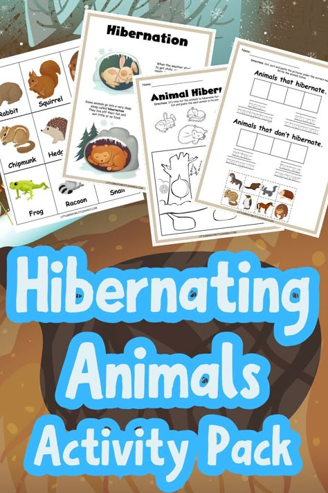 This FREE printable hibernating animals pack is perfect for incorporating into winter lesson plans or winter activities! Kids can learn about all the different types of hibernating animals, where they hibernate during the winter, and other fun facts about animal hibernation! Suitable for preschool, kindergarten and early elementary age kids! Perfect for morning work, independent work, or as part of your winter science activities! Hibernating Animals Printable, Animal Noses Printable, Hibernate Crafts Preschool, Hibernation Activities For Kindergarten, Winter Science For Preschool, Hibernation Preschool Activities Science, Animal Hibernation Preschool Activities, Hibernation Stem Activity, Free Hibernation Printables