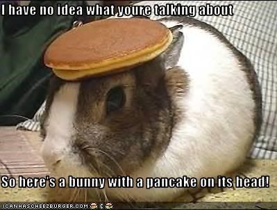 I have no idea what youre talking about  So here's a bunny with a pancake on its head! Cheer Up Funny, Bunny Pancakes, Cheer Up Quotes, Rabbit Pictures, Anime W, Cheer Someone Up, Wallpaper Disney, Funny Animal Jokes, Funny Bunnies