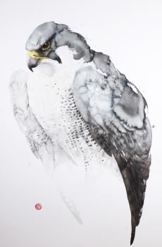 Karl Martens, Watercolour Bird, Watercolour Birds, Peregrine Falcon, Watercolor Birds, Animal Study, Amazing Paintings, Wildlife Paintings, Peregrine