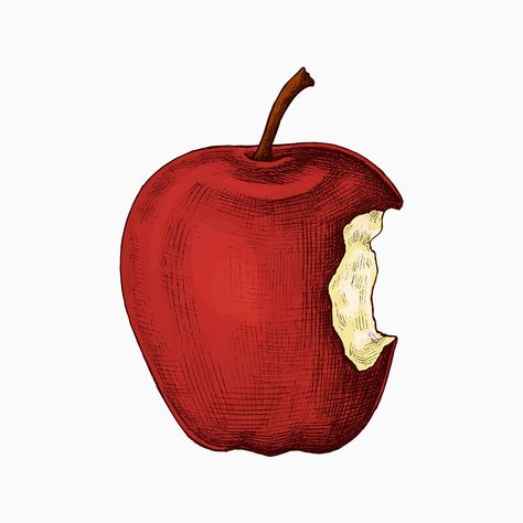 Red ripe bitten apple vector | free image by rawpixel.com / sasi #vector #vectorart #healthyfood #foodanddrink #foodblogger #foodphotography #mealplanning Notion Images, Apple Cartoon, Carrot Drawing, Bitten Apple, Food Illust, Pineapple Drawing, Apple Tattoo, Pineapple Vector, Apple Illustration