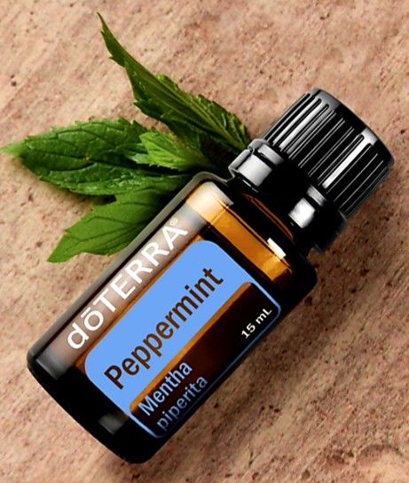 Super Mint Doterra, Peppermint Doterra, Doterra Metapwr Oil, Peppermint Doterra Brasil, Wild Orange Doterra Brasil, Lemon Doterra Brasil, Do Terra, Essential Oil Storage, Doterra Oils