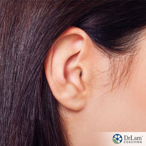 Dizziness, tinnitus, hearing loss, and vertigo may actually be pointing to something more serious underlying your metabolic inner ear disorder. Pave Ear Cuff, Human Ear, Gold Ear Cuff, Ear Wax, Silver Ear Cuff, Homeopathy, Cosmetic Surgery, Tree Oil, Cartilage Earrings