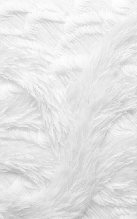 Rip Background, Fur Background, Baby Photography Backdrop, Feather Texture, Monthly Baby Photos, Paper Background Design, Paper Background Texture, 背景 シンプル, Iphone Background Wallpaper