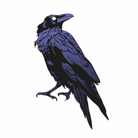 Tommy Tattoo, Crow Vector, Raven Vector, Crow Illustration, Black Horror, Crows Drawing, Crow Tattoo, Crow Bird, Crow Art