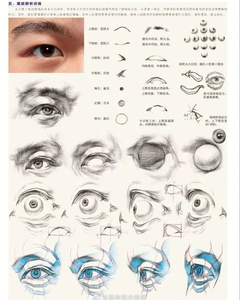 Art tutoraial. This part: portrait #arttutorial #eyedrawing #artteachersofinstagram #artcollector #artcollective #structural… | Instagram Eyes Anatomy Drawing, Eye Study, Eye Anatomy, Head Anatomy, Drawing Study, Academic Drawing, Portrait Tutorial, Face Anatomy, Life Drawing Reference