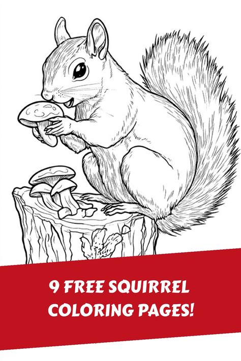 Grab these free Printable Squirrel coloring pages! These cute Squirrels are the perfect activity for kids, and grownups, on those chilly Autumn days! Squirrel Coloring Page, Happy Squirrel, Squirrel Art, Vintage Coloring Books, Squirrel Funny, Bunny Coloring Pages, The Graphics Fairy, Free Coloring Sheets, Coloring Inspiration