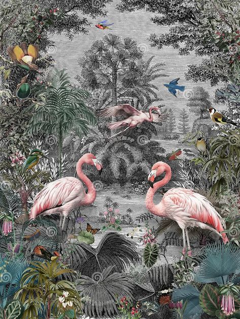 Jungle Landscape, Wallpaper Jungle, Jungle Bird, Birds Drawing, Jungle Painting, Jungle Birds, Drawing Vintage, Jungle Room, Flamingo Bird