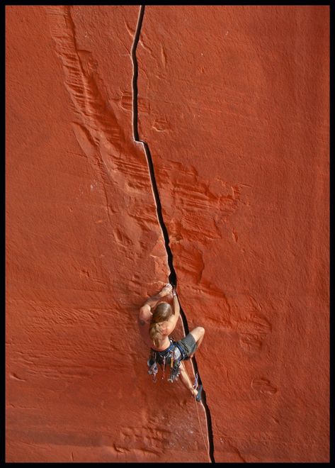 Alex Honnold, Free Climbing, Climbing Girl, Trad Climbing, Indian Creek, Climbing Gear, Rock Climbers, Mountain Climbing, Extreme Sports