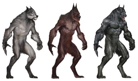 Werewolf Reference, Van Helsing Werewolf, Van Helsing 2004, Werewolf Vs Vampire, Then There Were Four, Werewolf Drawing, Werewolf Aesthetic, Van Helsing, Werewolf Art